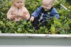 IMG_20190812_103102
